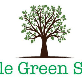 Irish eco-business spot-light; Little Green Shop