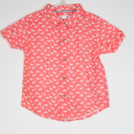9-12M
Flamingos Shirt