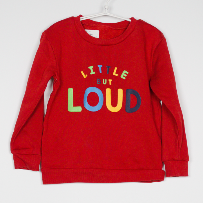 3-4Y
Loud Sweater