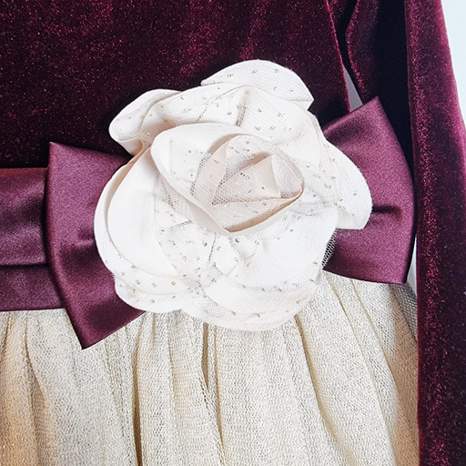 2Y
Wine/Gold Dress