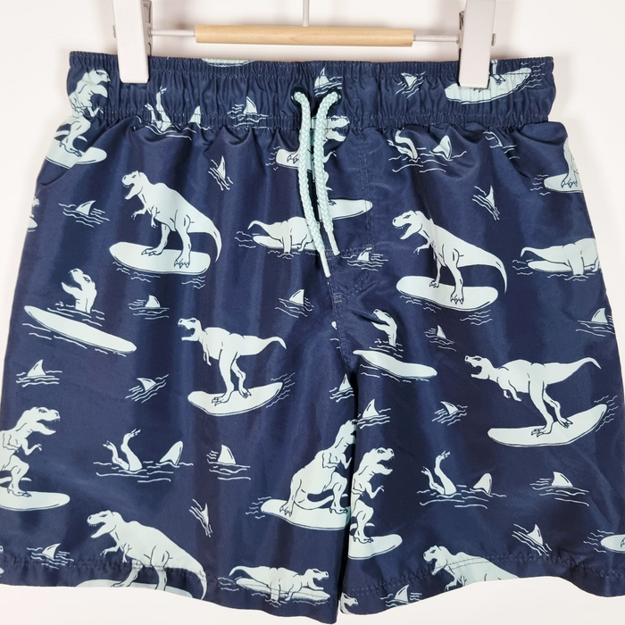 9-10Y
Surfing Dino Swim Shorts