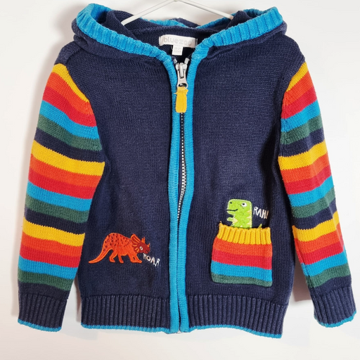 18-24MDinosaur Hoodie